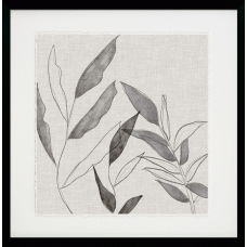 Botanical Sketch I Framed Art