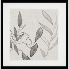 Botanical Sketch II Framed Art